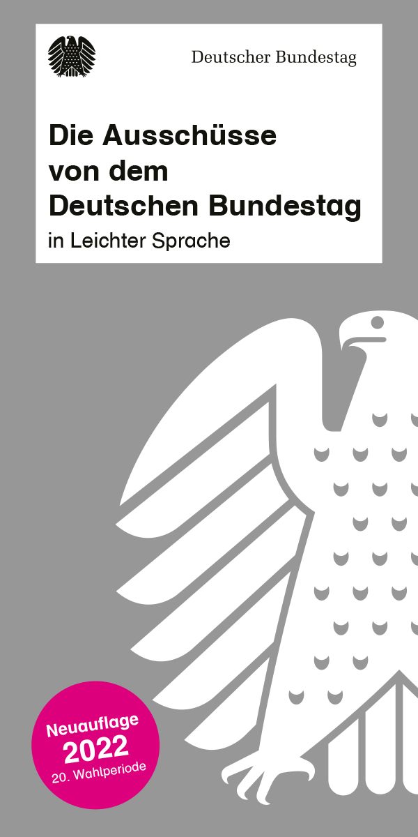 Flyer: Die Ausschüsse von dem Deutschen Bundestag (Leichte Sprache)