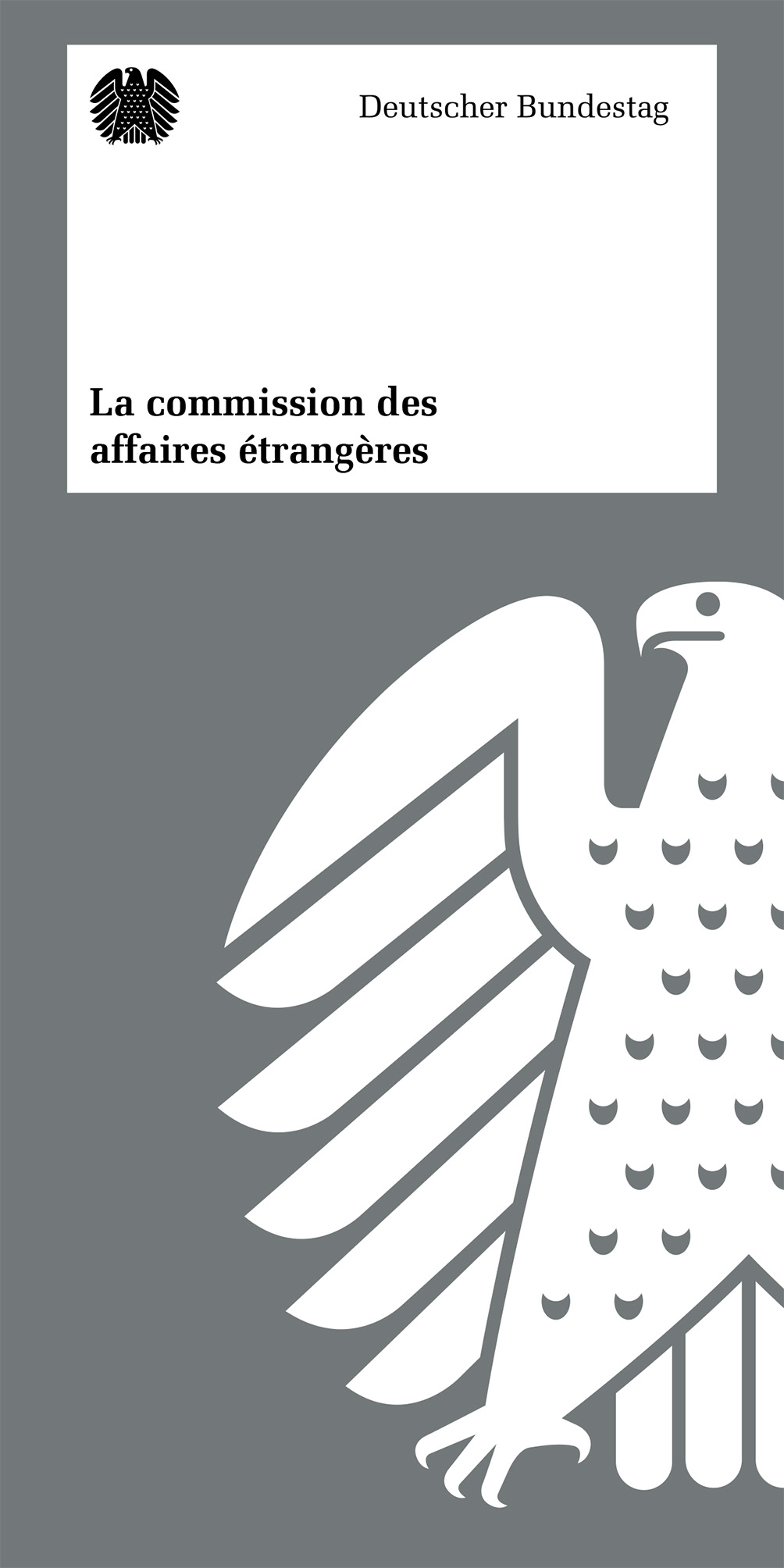 Flyer: Auswärtiger Ausschuss (französisch)